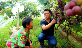 方山吃瓜最新事件爆料,最新爆料揭露惊人内幕