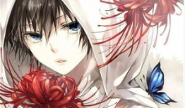 封面动漫,探寻奇幻世界的神秘之旅